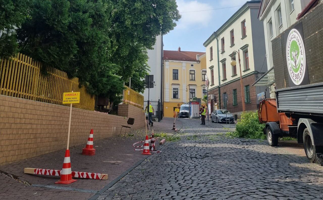 Konserwacja narzędzi ogrodniczych